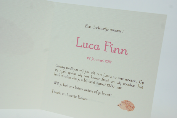 geboortekaartje luca lichtroze